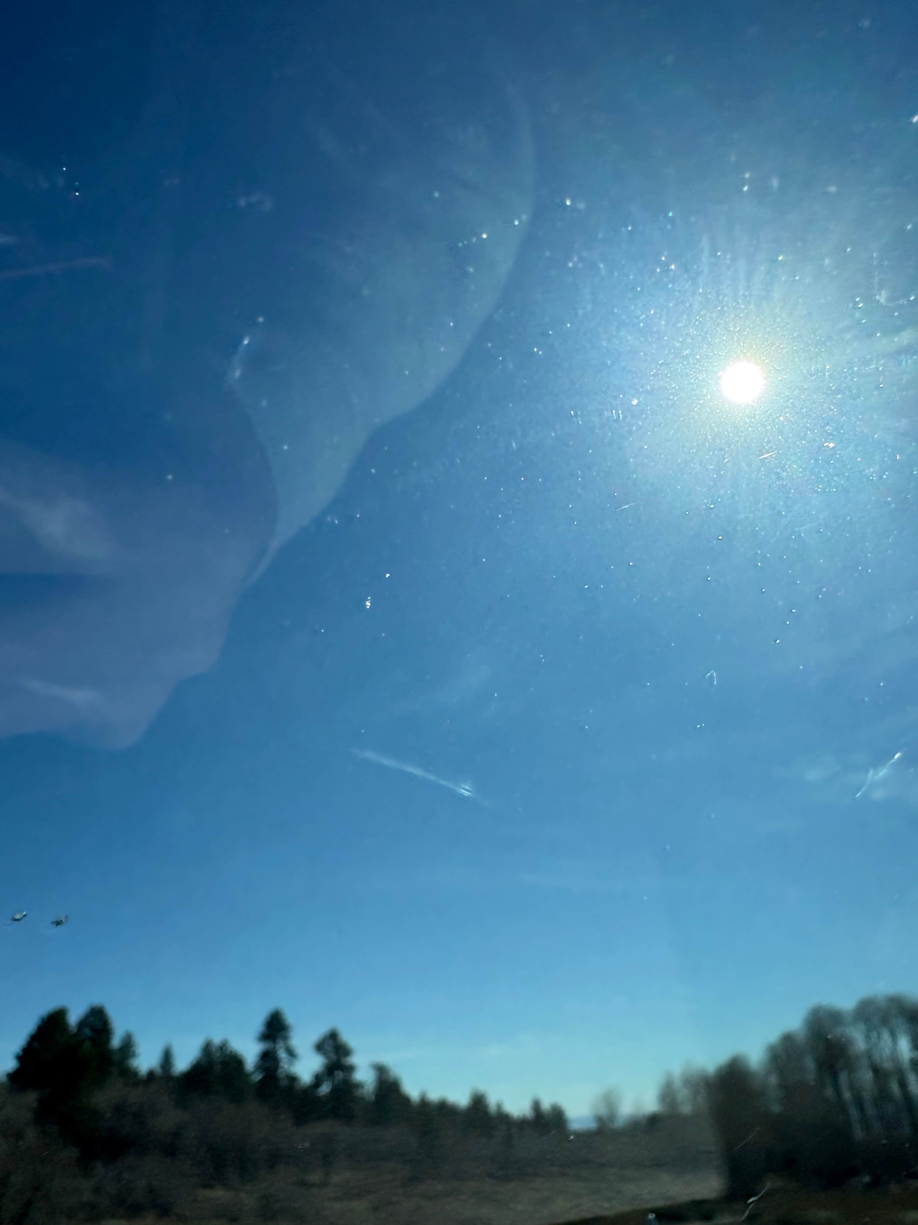 Stacia M.'s photo of a dispersed camping area at Dispersed Hwy 12 near Spruce Springs near Bicknell, UT