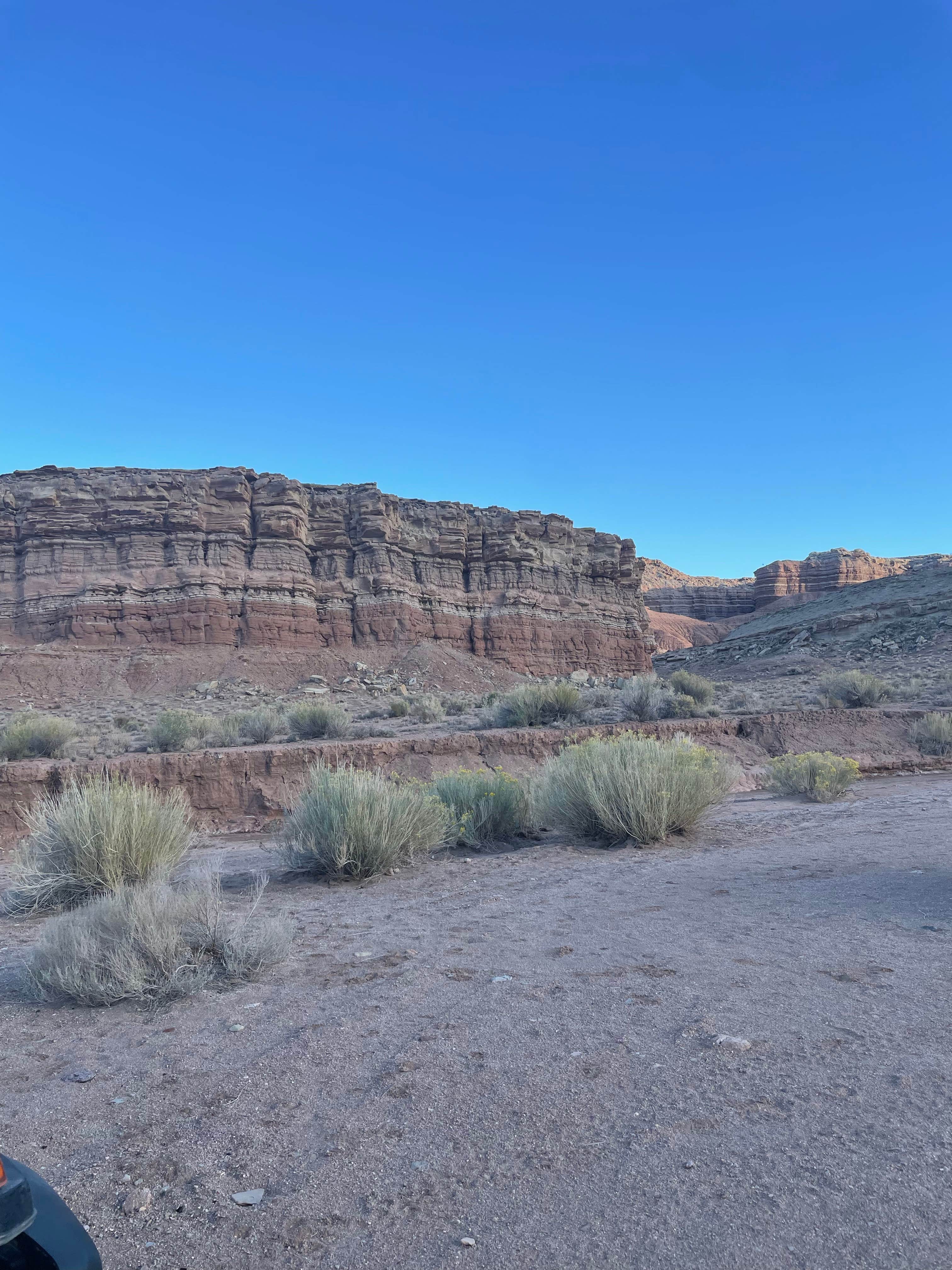 Camping near Oak Creek Reservoir: Dispersed Hwy 12 near Spruce Springs, Boulder, Utah