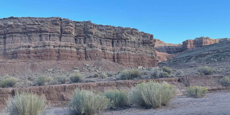 Camper submitted image from Dispersed Hwy 12 near Spruce Springs