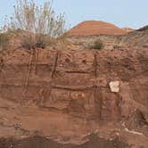 Review photo of Dispersed Hwy 12 near Spruce Springs by Emme B., November 4, 2025