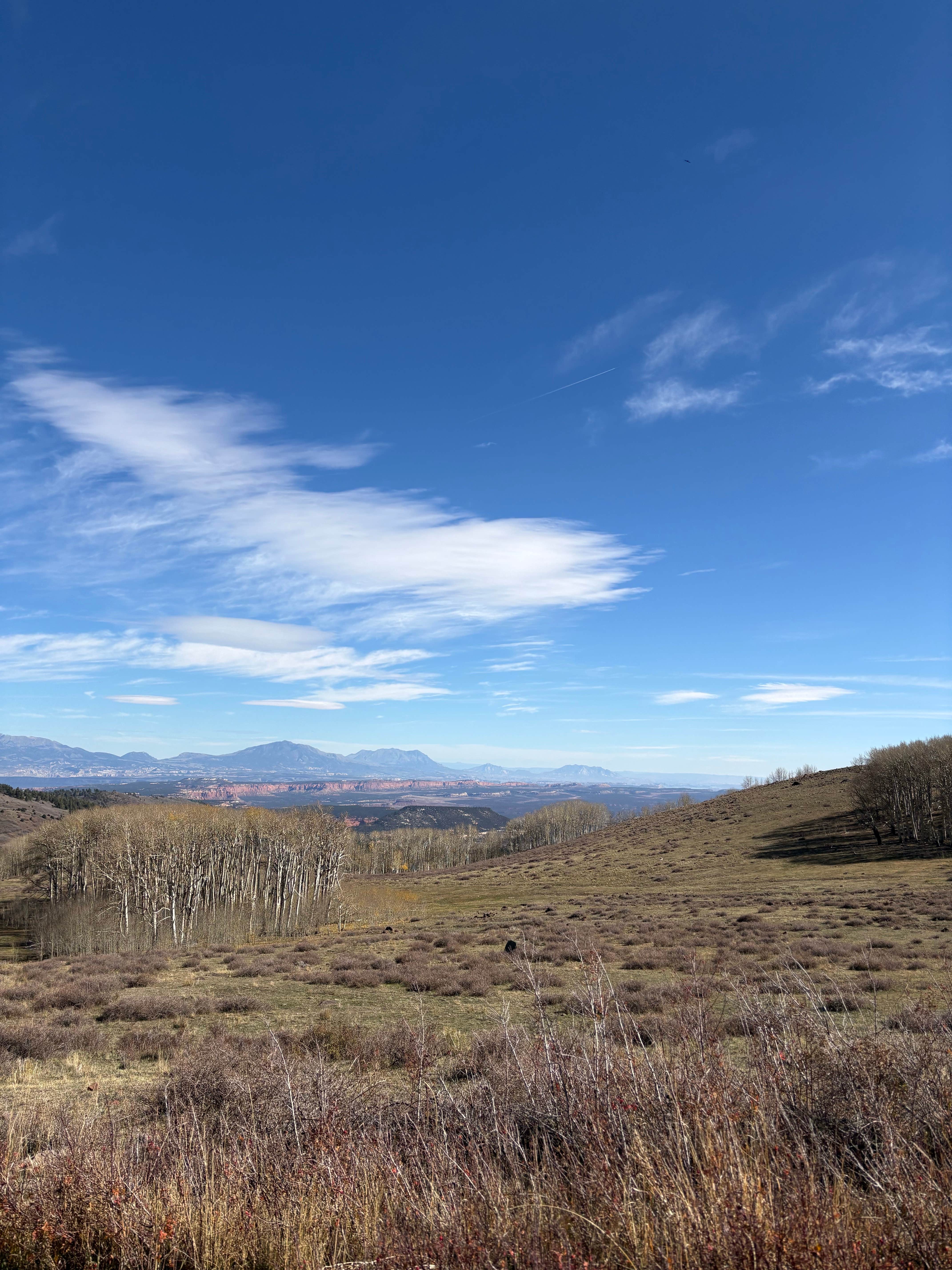 Stacia M.'s photo of a dispersed camping area at Dispersed Hwy 12 near Spruce Springs near Capitol Reef National Park