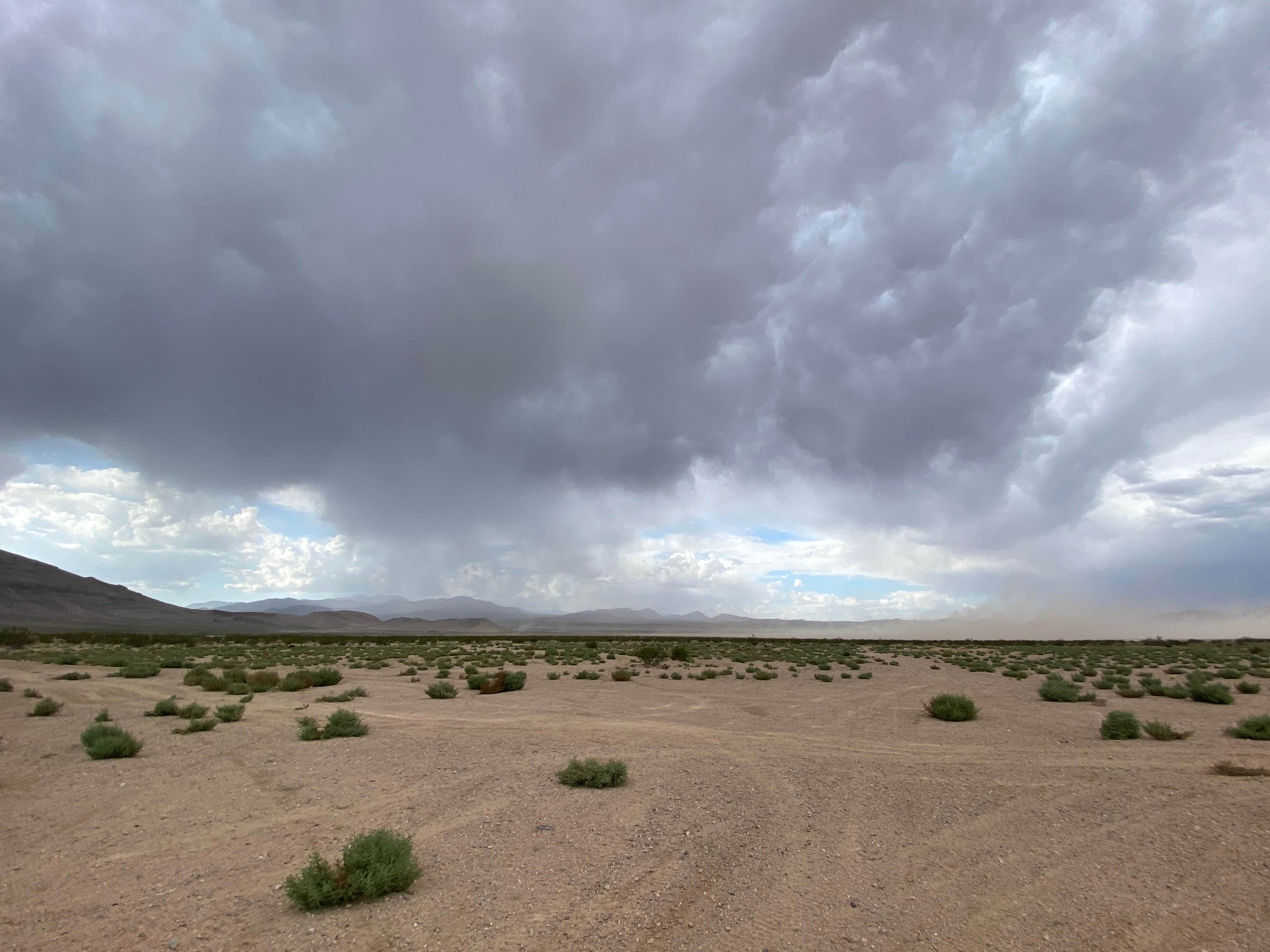 Amy B.'s photo of a dispersed camping area at Dispersed-jean/roach Dry Lakes near Jean, NV