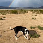 Review photo of Dispersed-jean/roach Dry Lakes by Amy B., September 23, 2023