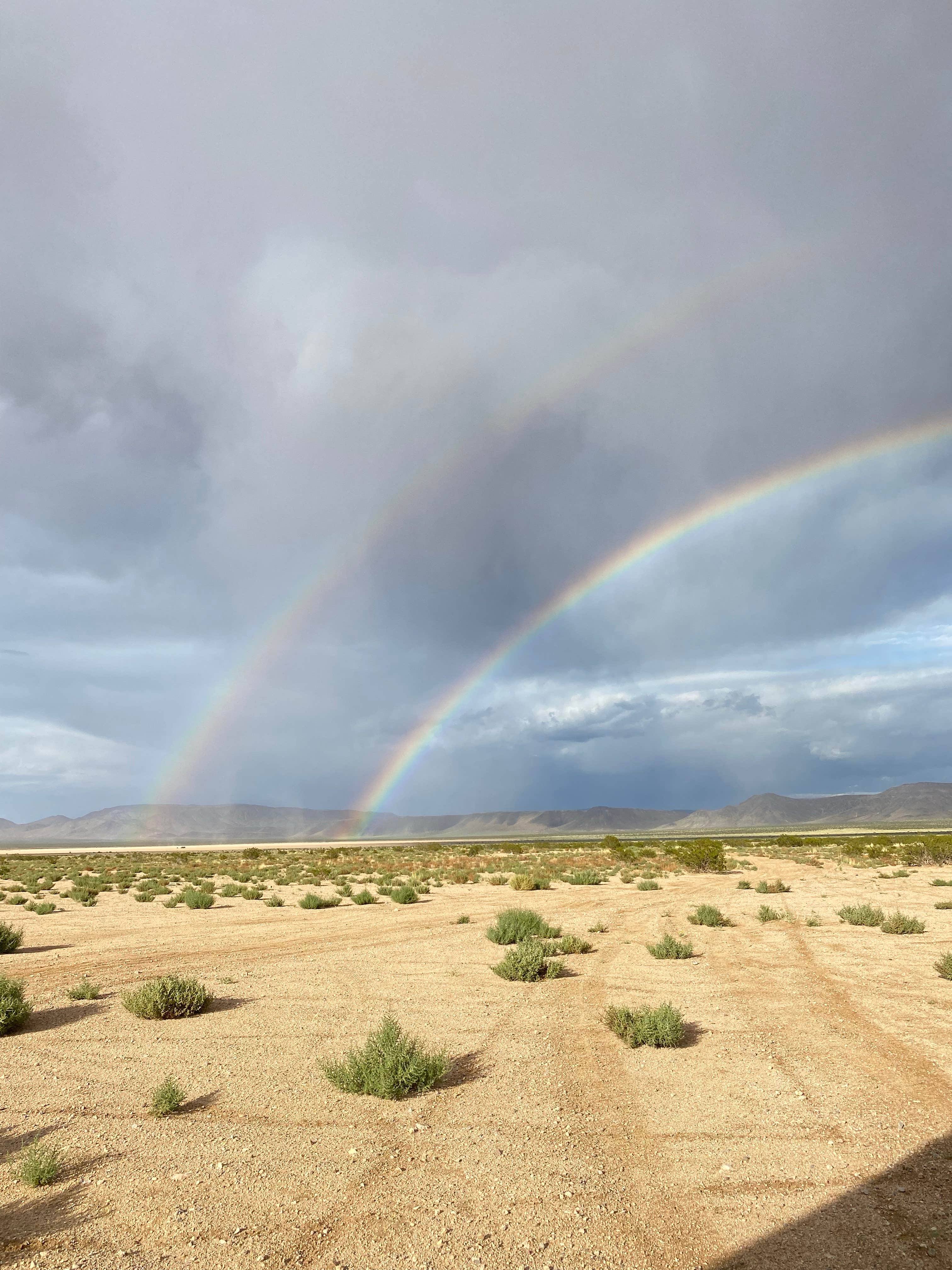 Amy B.'s photo of a dispersed camping area at Dispersed-jean/roach Dry Lakes near Nipton, CA