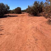 Review photo of Nolan Tank Large Dispersed Area by Kathy B., March 22, 2025