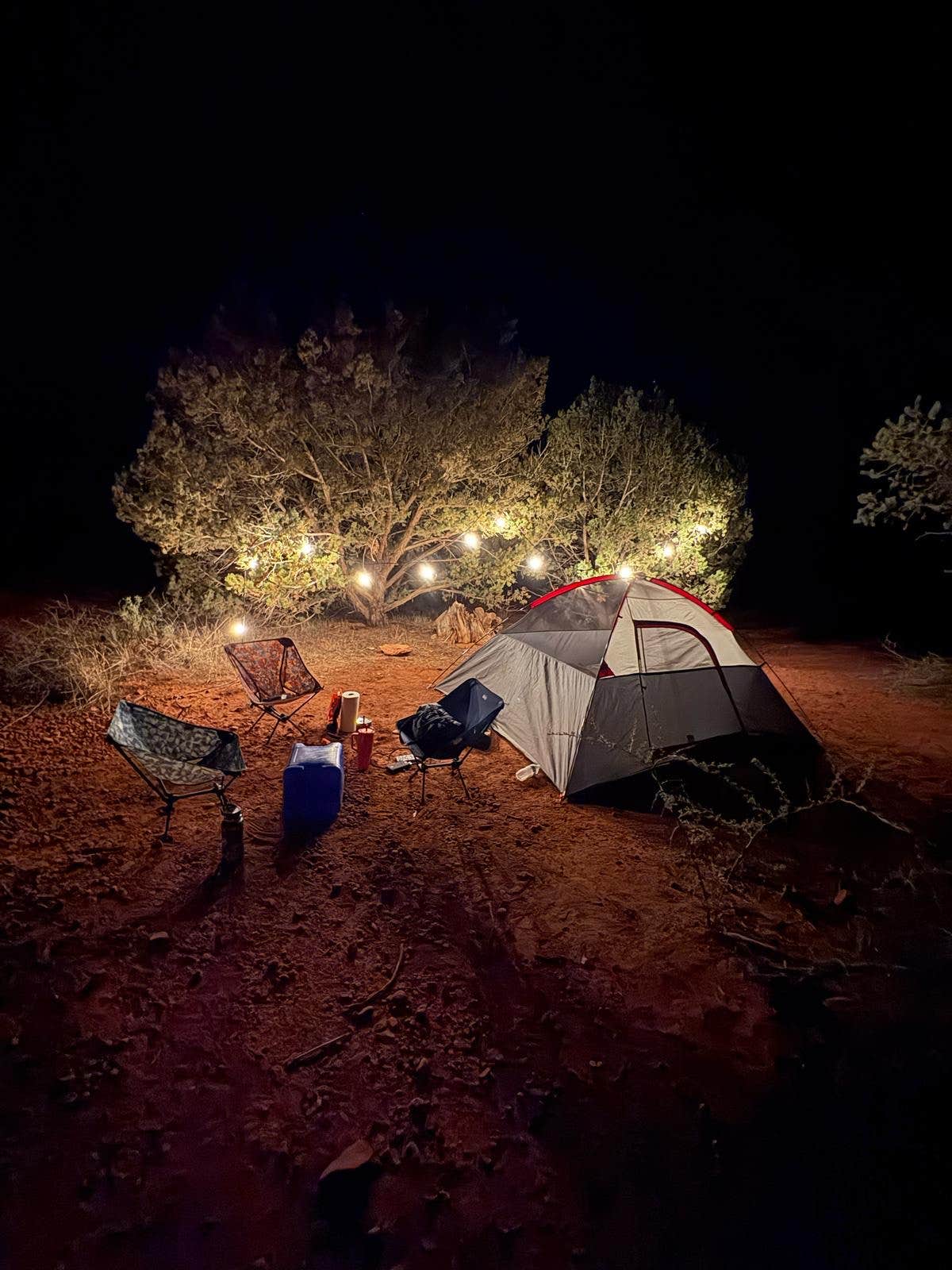 Camper submitted image from Nolan Tank Large Dispersed Area - 1
