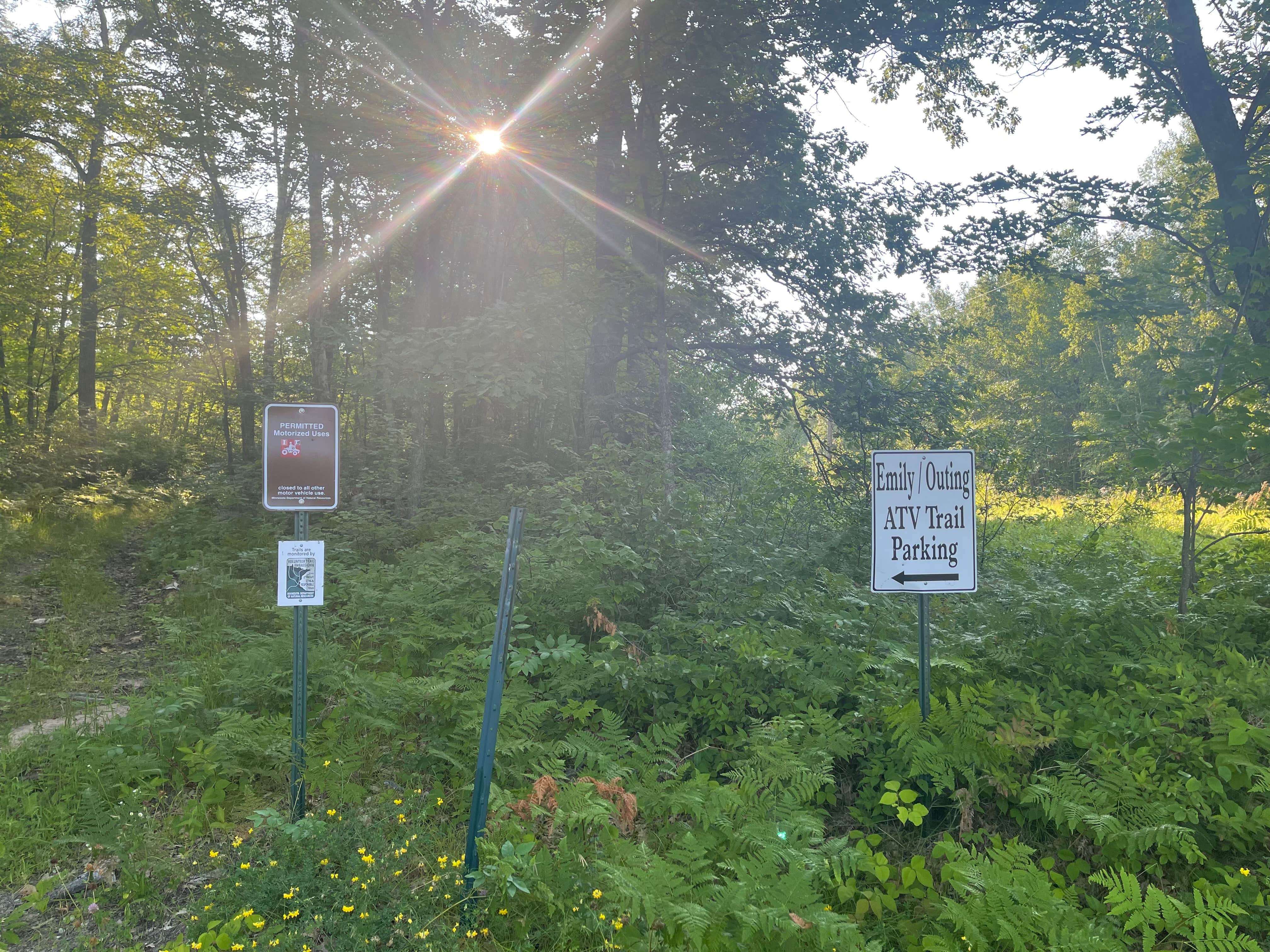 Tracy M.'s photo of a dispersed camping area at Moose River ATV - Dispersed Camping near Akeley, MN
