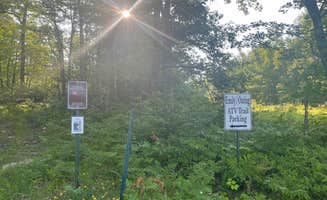 Tracy M.'s photo of a dispersed camping area at Moose River ATV - Dispersed Camping near Longville, MN