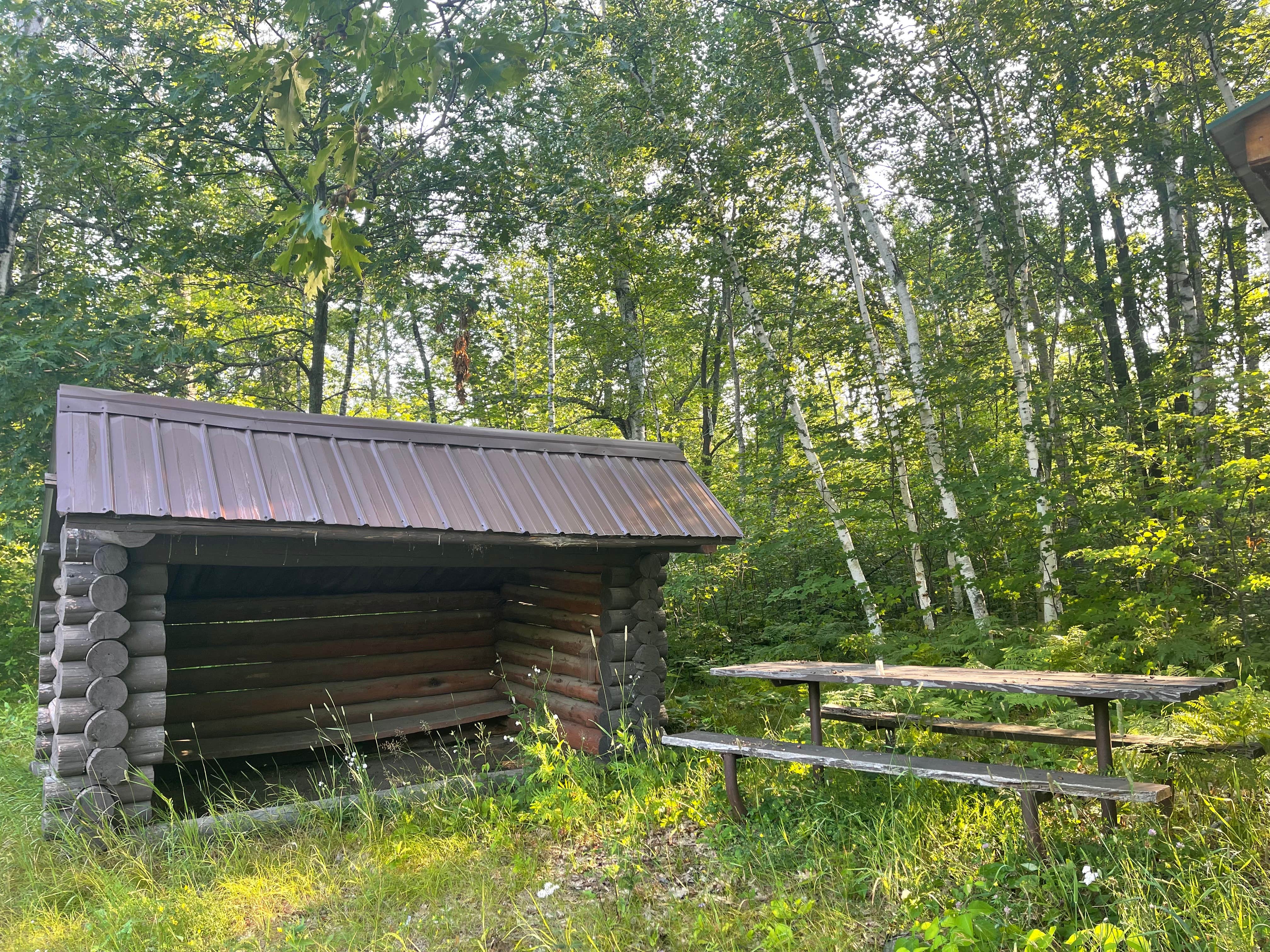 Camper submitted image from Moose River ATV - Dispersed Camping - 3