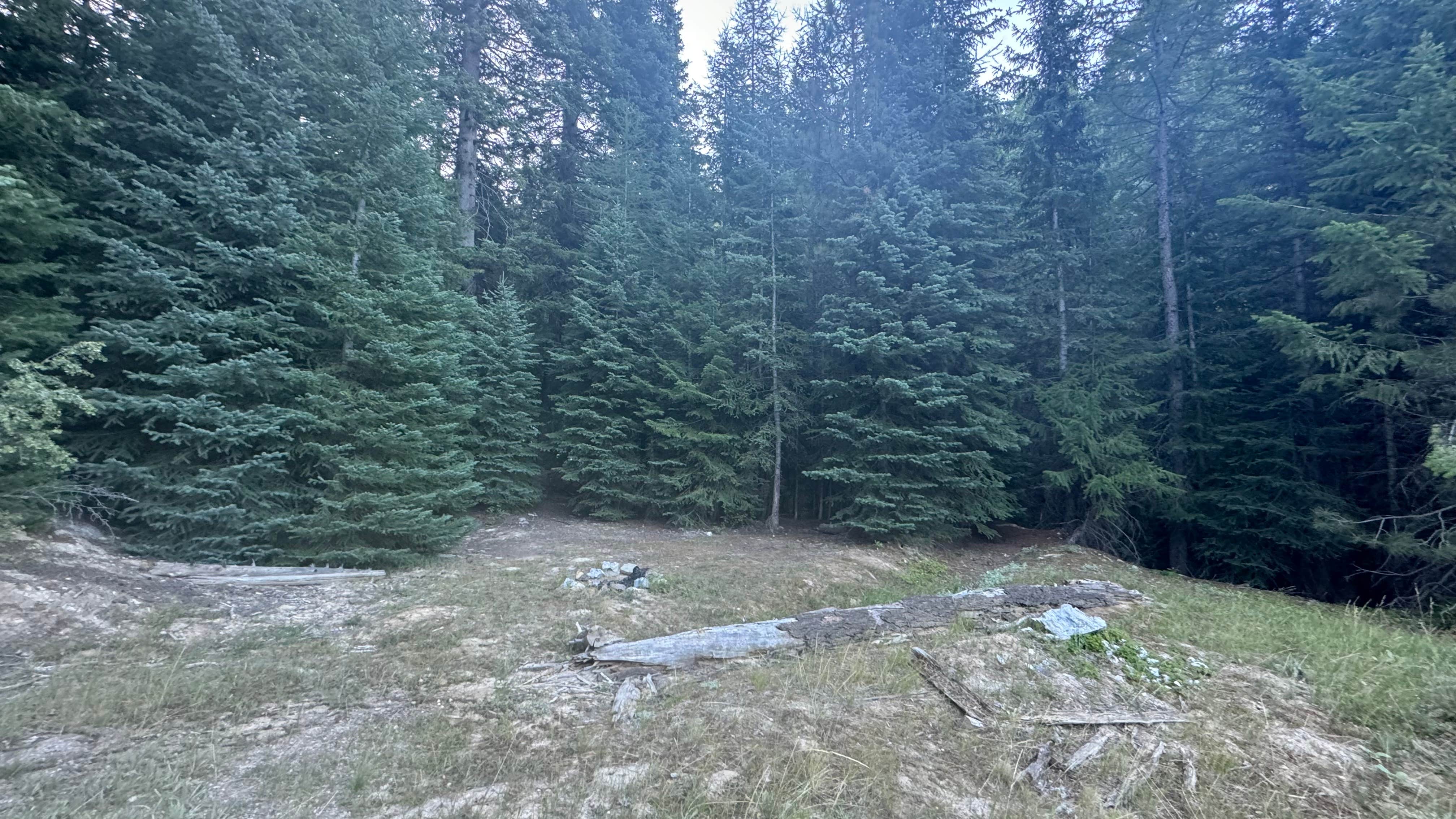 Camping near Lunch Creek: Dispersed near Baboon Creek Quarry, Sumpter, Oregon