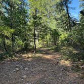 Review photo of Dispersed Campsite near Castle Lake and Shasta by Quincey H., May 8, 2026