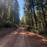 Review photo of Dispersed Campsite near Castle Lake and Shasta by Grace A., August 12, 2025