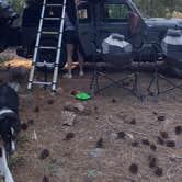 Review photo of Dispersed Campsite near Castle Lake and Shasta by Victoria B., May 30, 2025