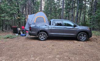 Regina L.'s photo of a dispersed camping area at Dispersed Campsite near Castle Lake and Shasta near Castella, CA