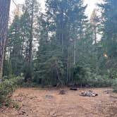 Review photo of Dispersed Campsite near Castle Lake and Shasta by Sabrina V., October 11, 2024