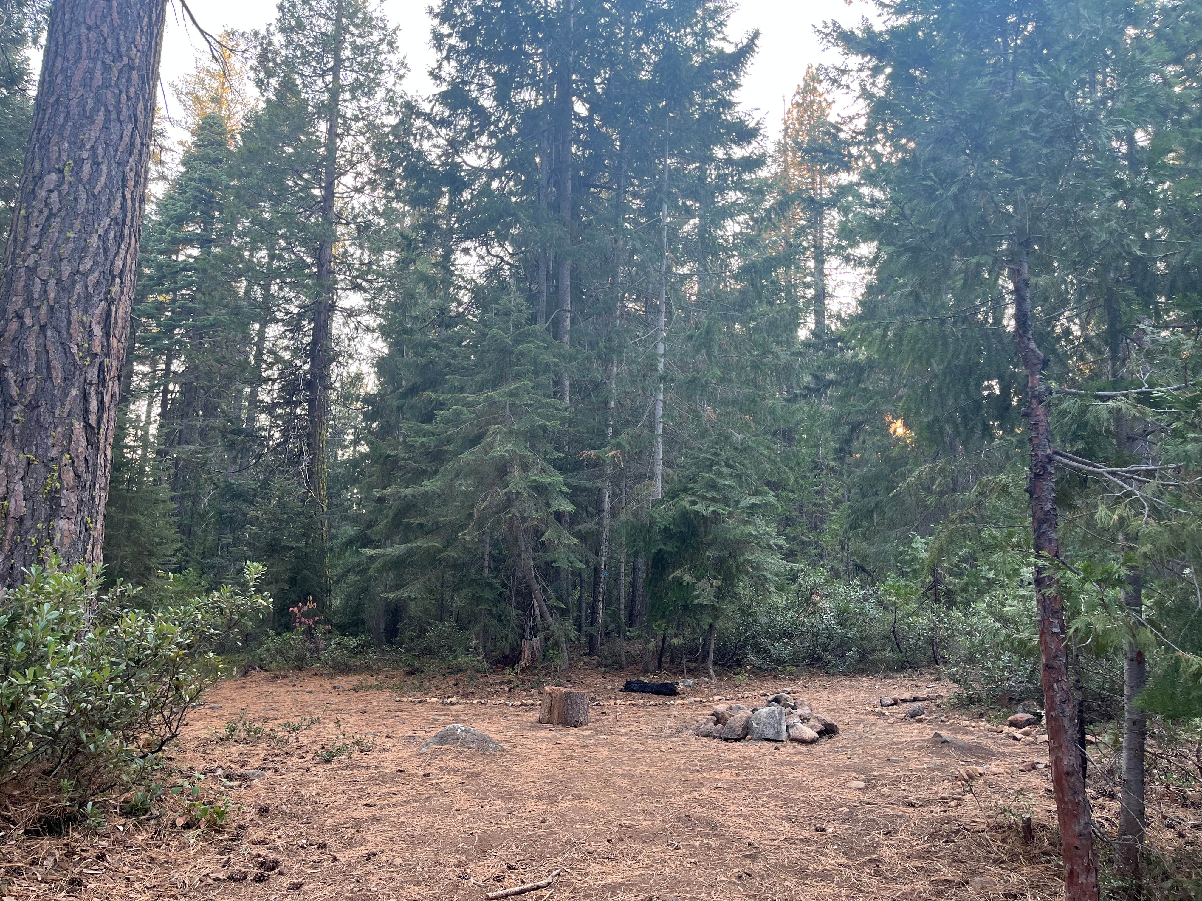 Camper submitted image from Dispersed Campsite near Castle Lake and Shasta - 1