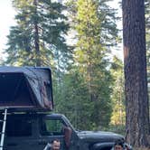 Review photo of Dispersed Campsite near Castle Lake and Shasta by Victoria B., May 30, 2025