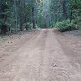 Review photo of Dispersed Campsite near Castle Lake and Shasta by Regina L., July 5, 2025
