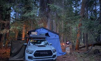 Sam M.'s photo of a dispersed camping area at Dispersed Campsite near Castle Lake and Shasta near Cassel, CA