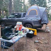 Review photo of Dispersed Campsite near Castle Lake and Shasta by Regina L., July 5, 2025