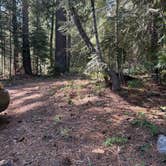 Review photo of Dispersed Campsite near Castle Lake and Shasta by Quincey H., May 8, 2026