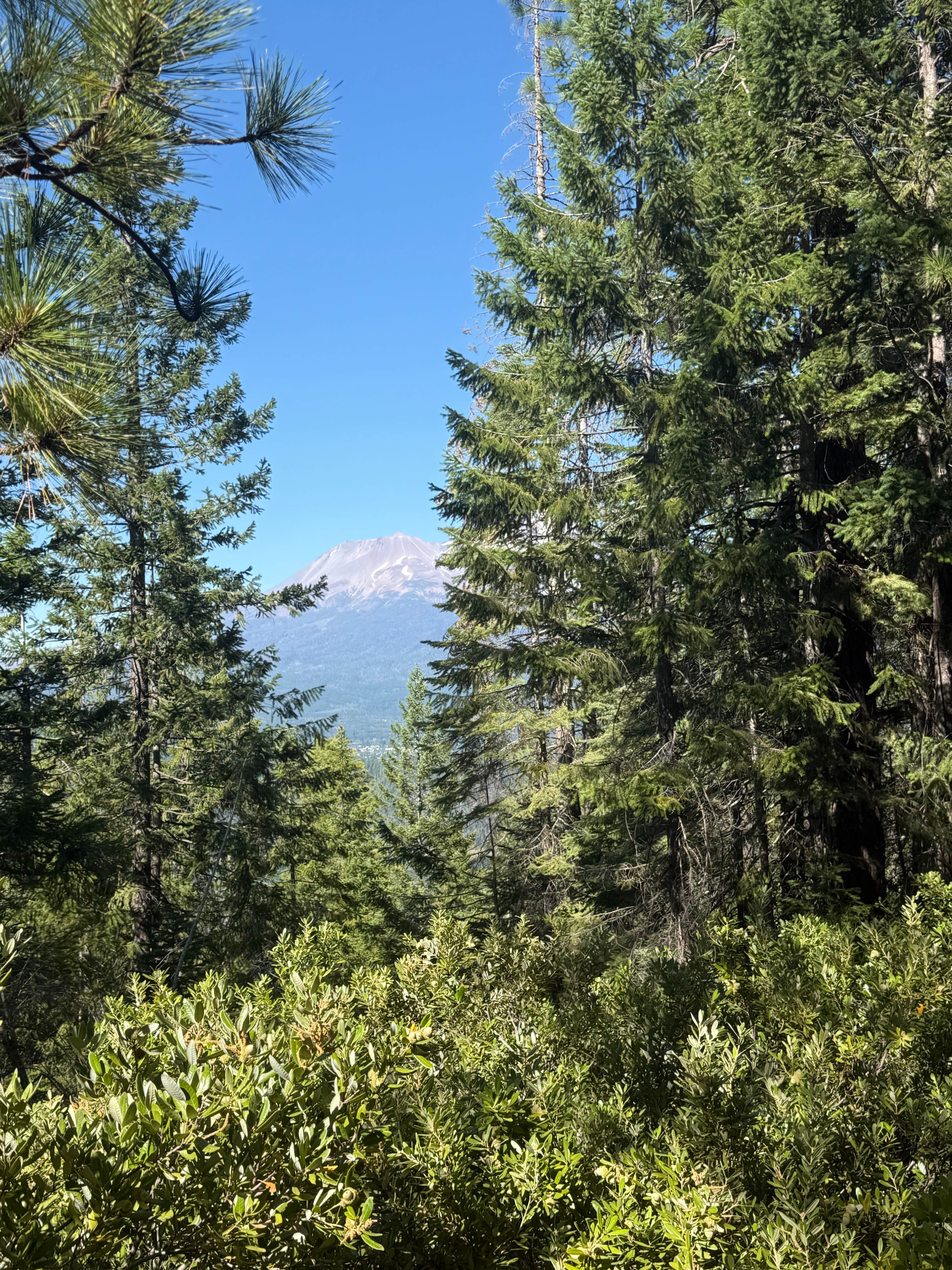 Camper-submitted photo at Dispersed Campsite near Castle Lake and Shasta near Greenview, CA