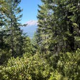 Review photo of Dispersed Campsite near Castle Lake and Shasta by Grace A., August 12, 2025