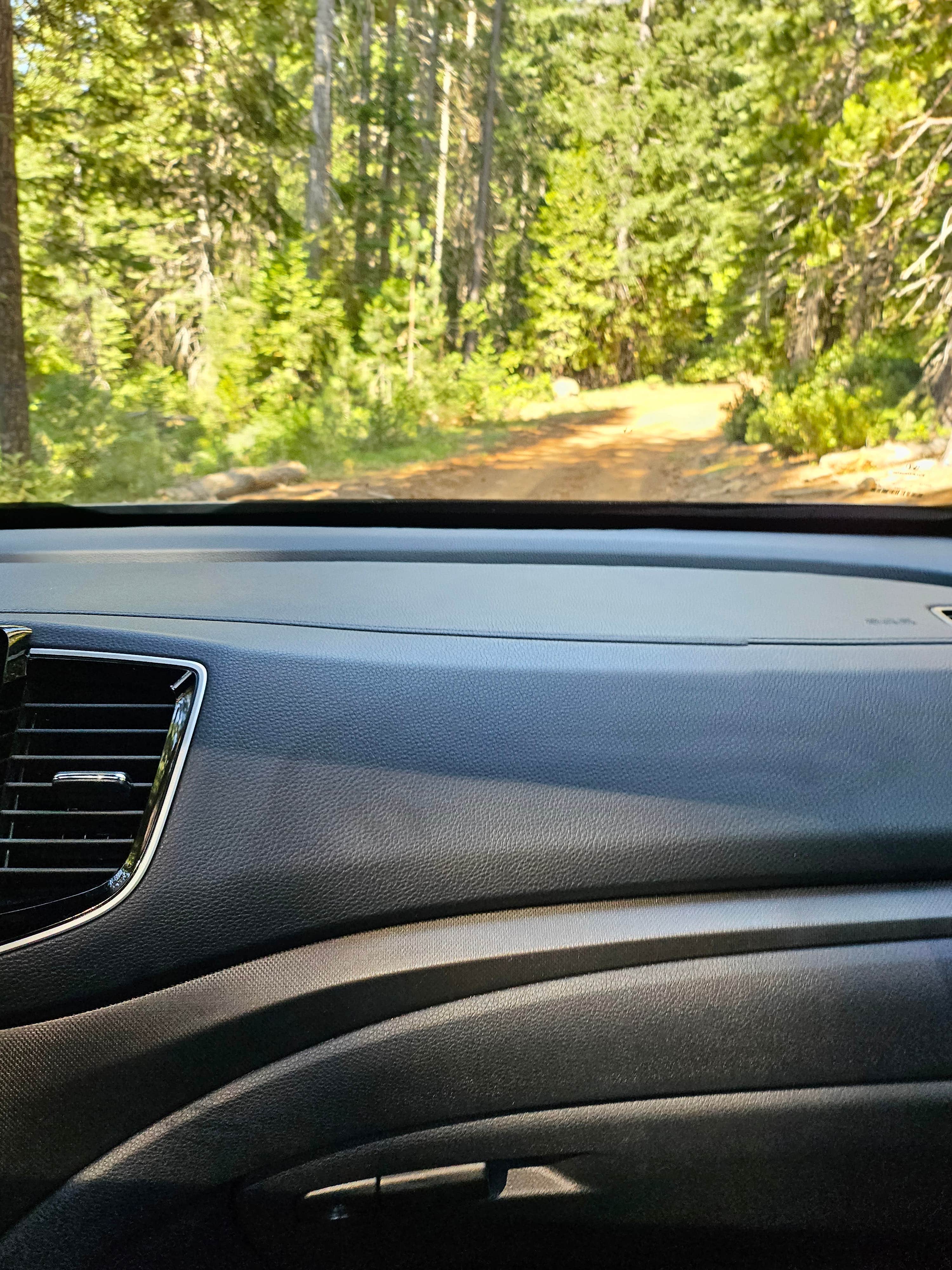 Dispersed Campsite near Castle Lake and Shasta