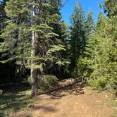Review photo of Dispersed Campsite near Castle Lake and Shasta by Karsyn P., June 7, 2025