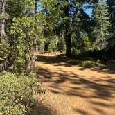 Review photo of Dispersed Campsite near Castle Lake and Shasta by Karsyn P., June 7, 2025