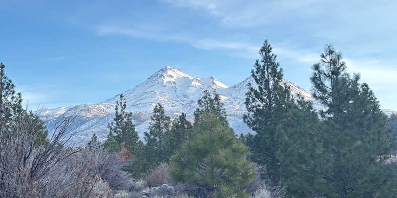 Camper submitted image from Dispersed near Lake Shastina