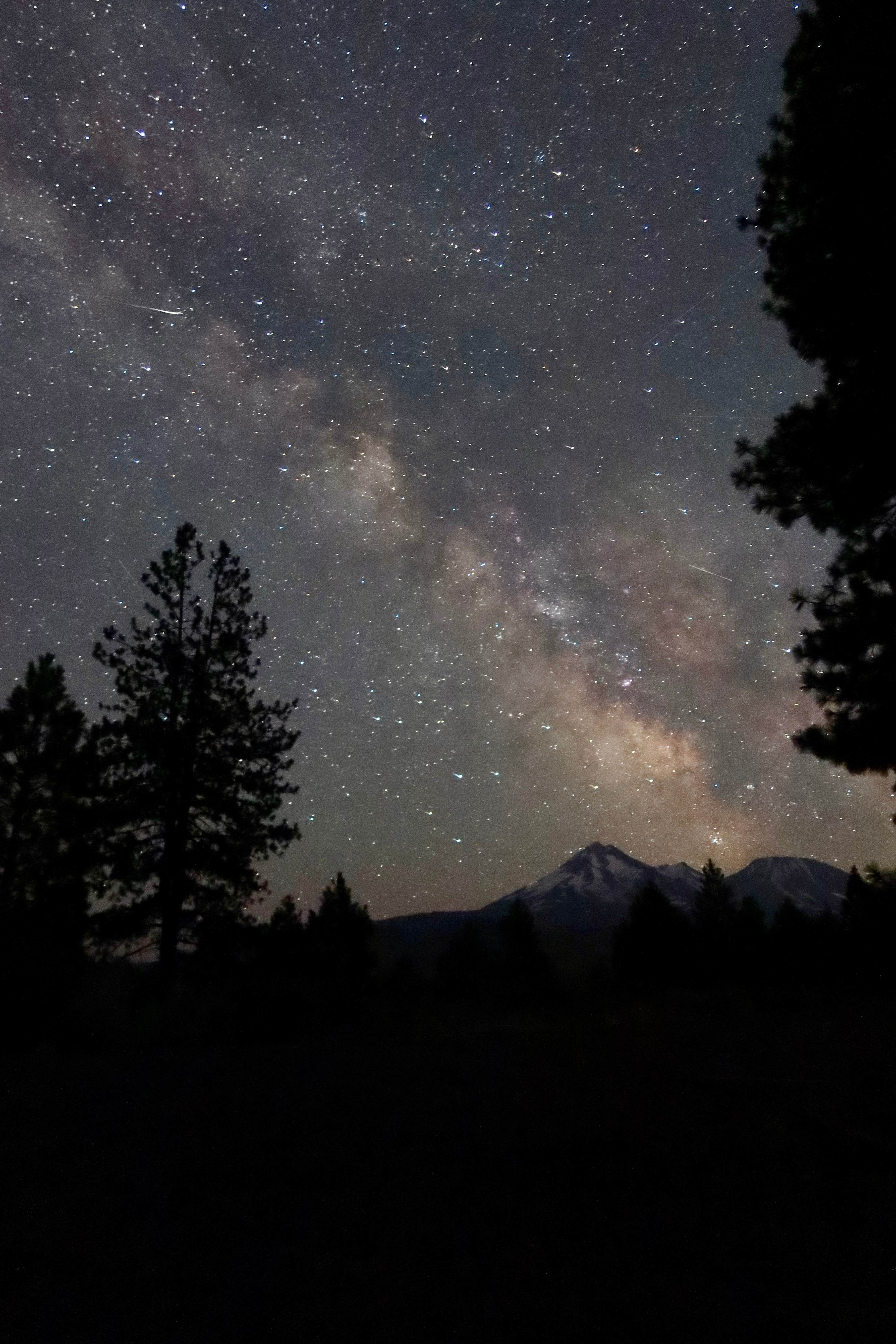 Nate T.'s photo of a dispersed camping area at Dispersed near Lake Shastina near Greenview, CA