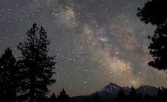 Nate T.'s photo of a dispersed camping area at Dispersed near Lake Shastina near Montague, CA