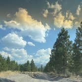 Review photo of Dispersed near Lake Shastina by Nate T., July 20, 2025