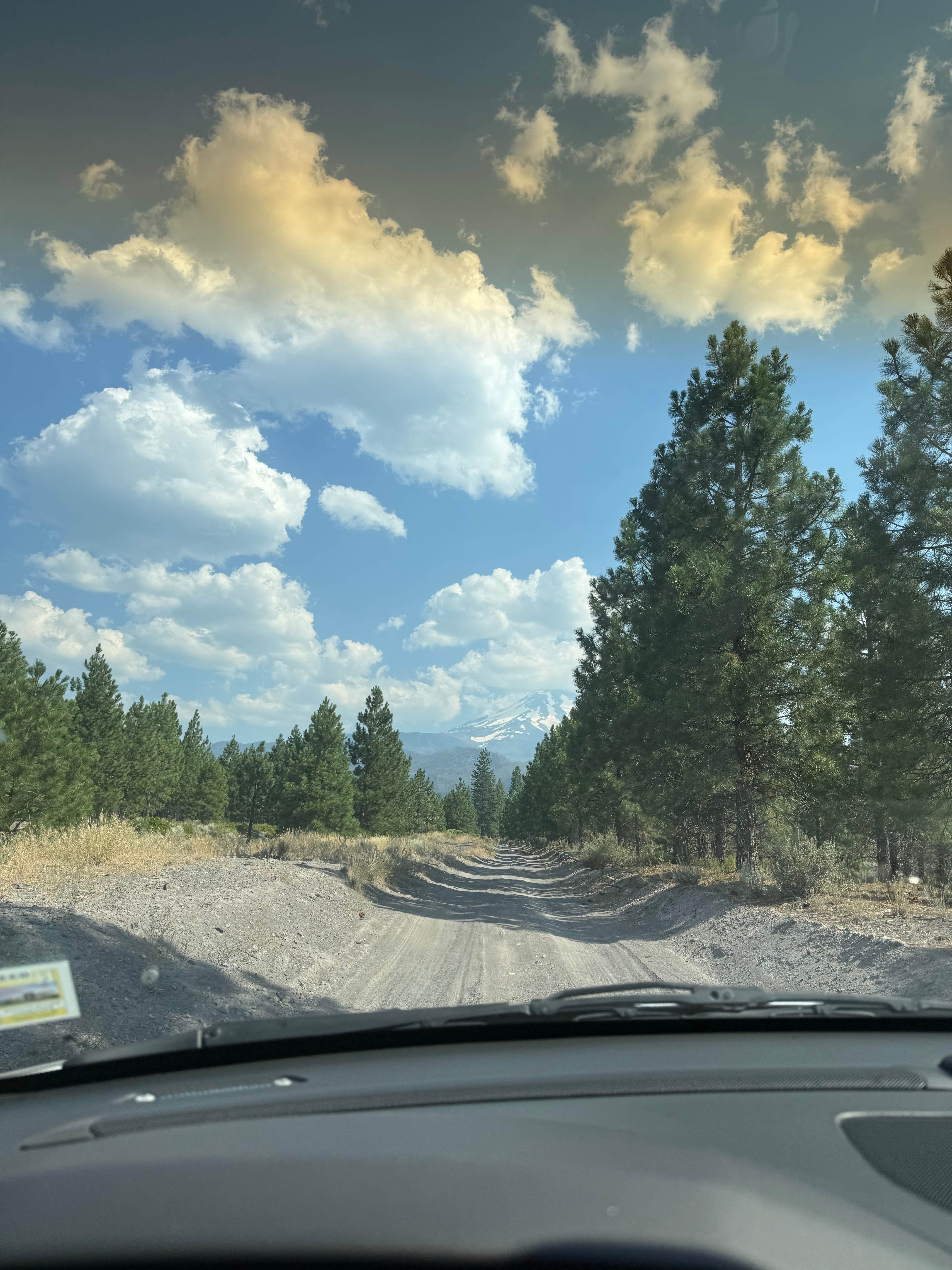 Camper submitted image from Dispersed near Lake Shastina - 3