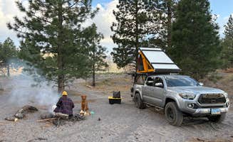 Finn B.'s photo of camping with pets at Dispersed near Lake Shastina near McCloud, CA