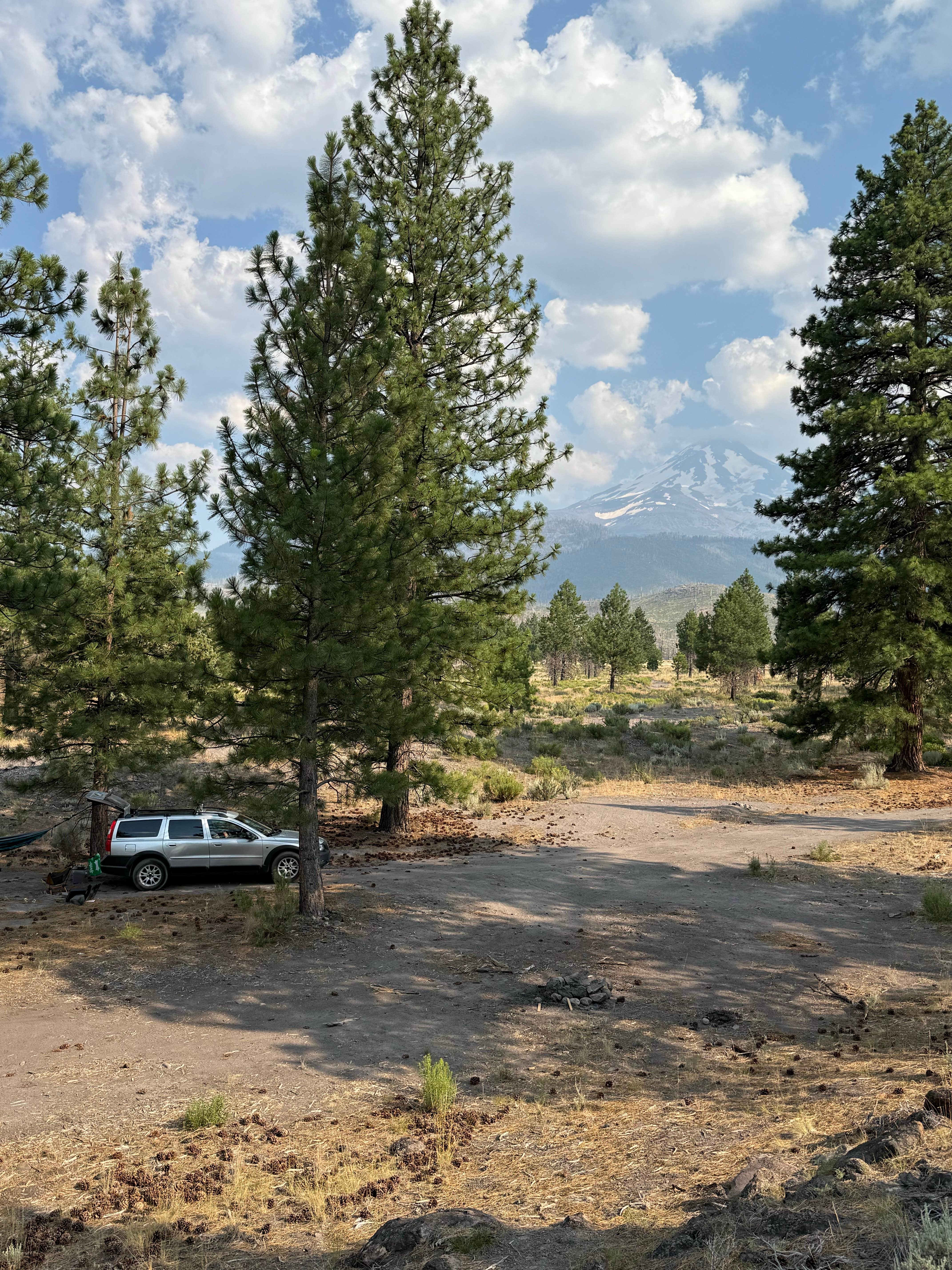 Camper submitted image from Dispersed near Lake Shastina - 2