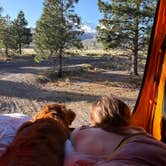 Review photo of Dispersed near Lake Shastina by Finn B., April 28, 2026