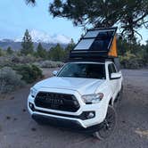 Review photo of Dispersed near Lake Shastina by Grant M., May 2, 2026