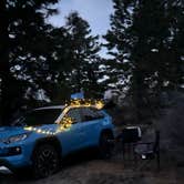 Review photo of Dispersed near Lake Shastina by Harley B., February 4, 2026