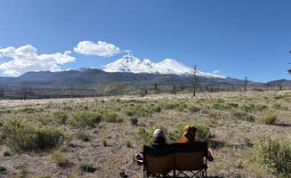 Finn B.'s photo of camping with pets at Dispersed near Lake Shastina near McCloud, CA