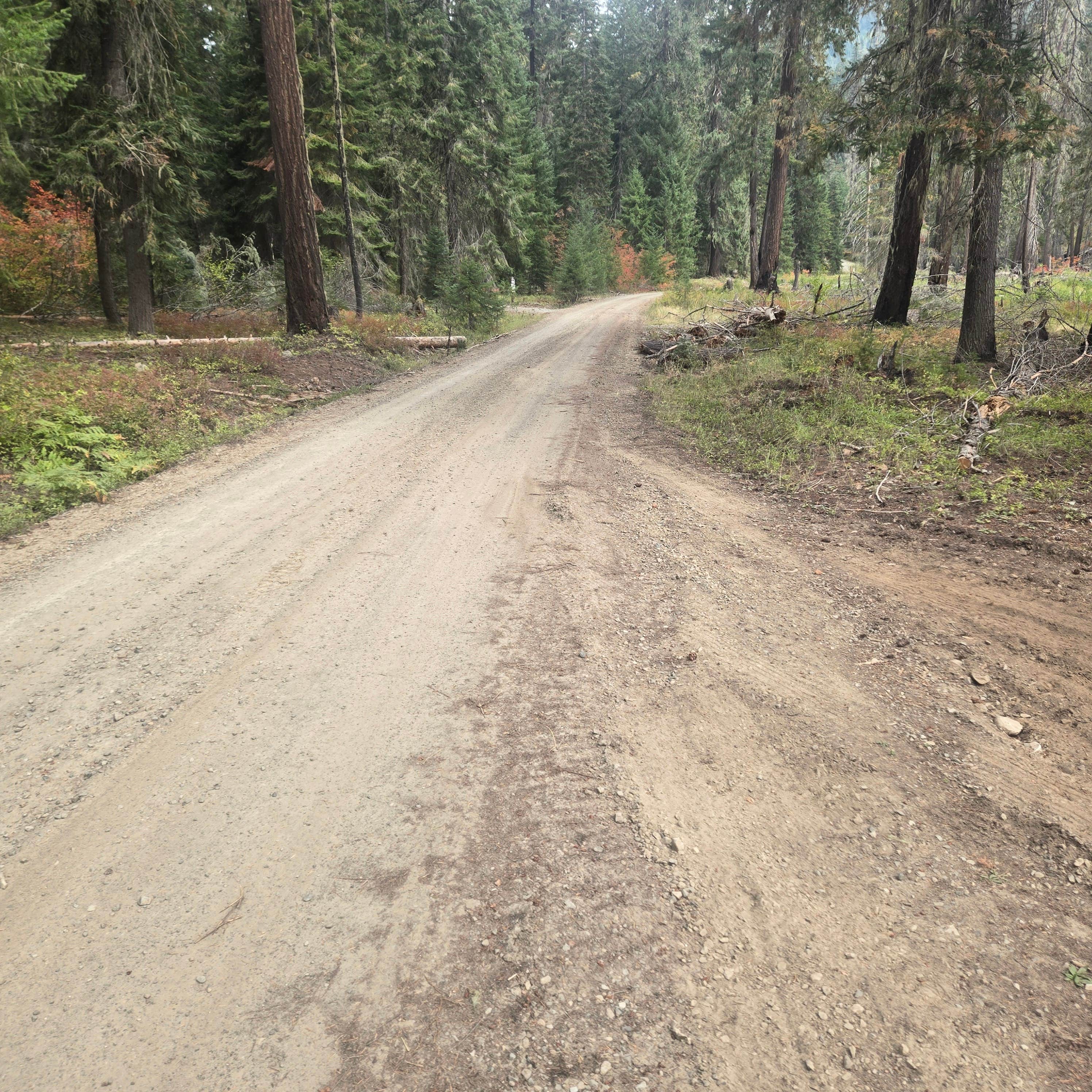 Camper-submitted photo at Dispersed near Salmon la Sac near Okanogan-Wenatchee National Forest