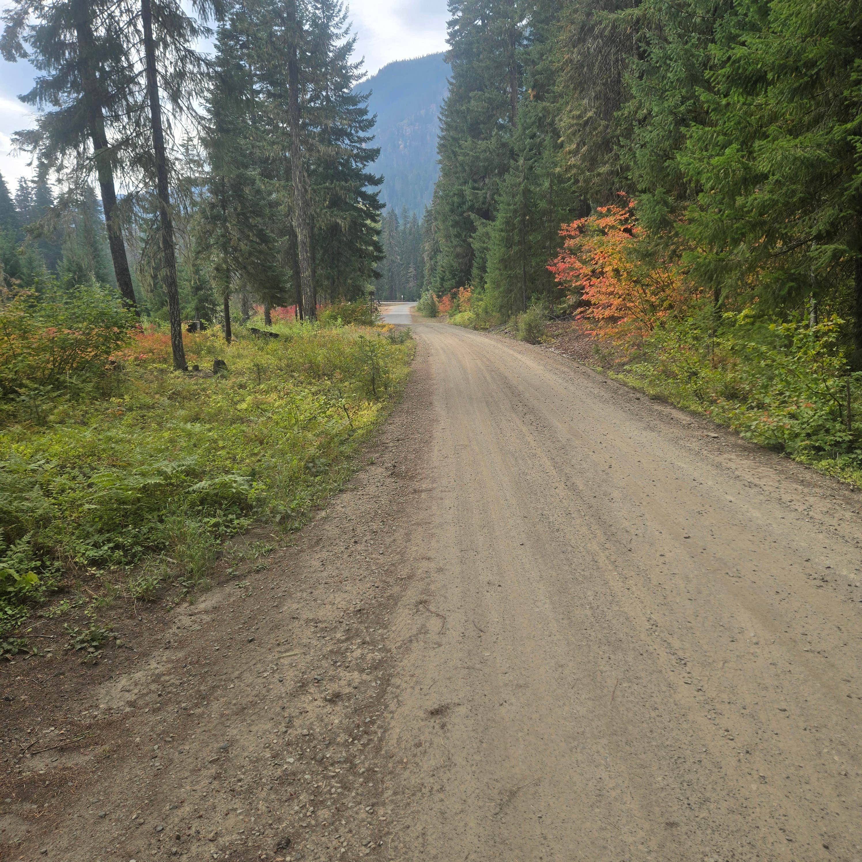 Camper-submitted photo at Dispersed near Salmon la Sac near Okanogan-Wenatchee National Forest