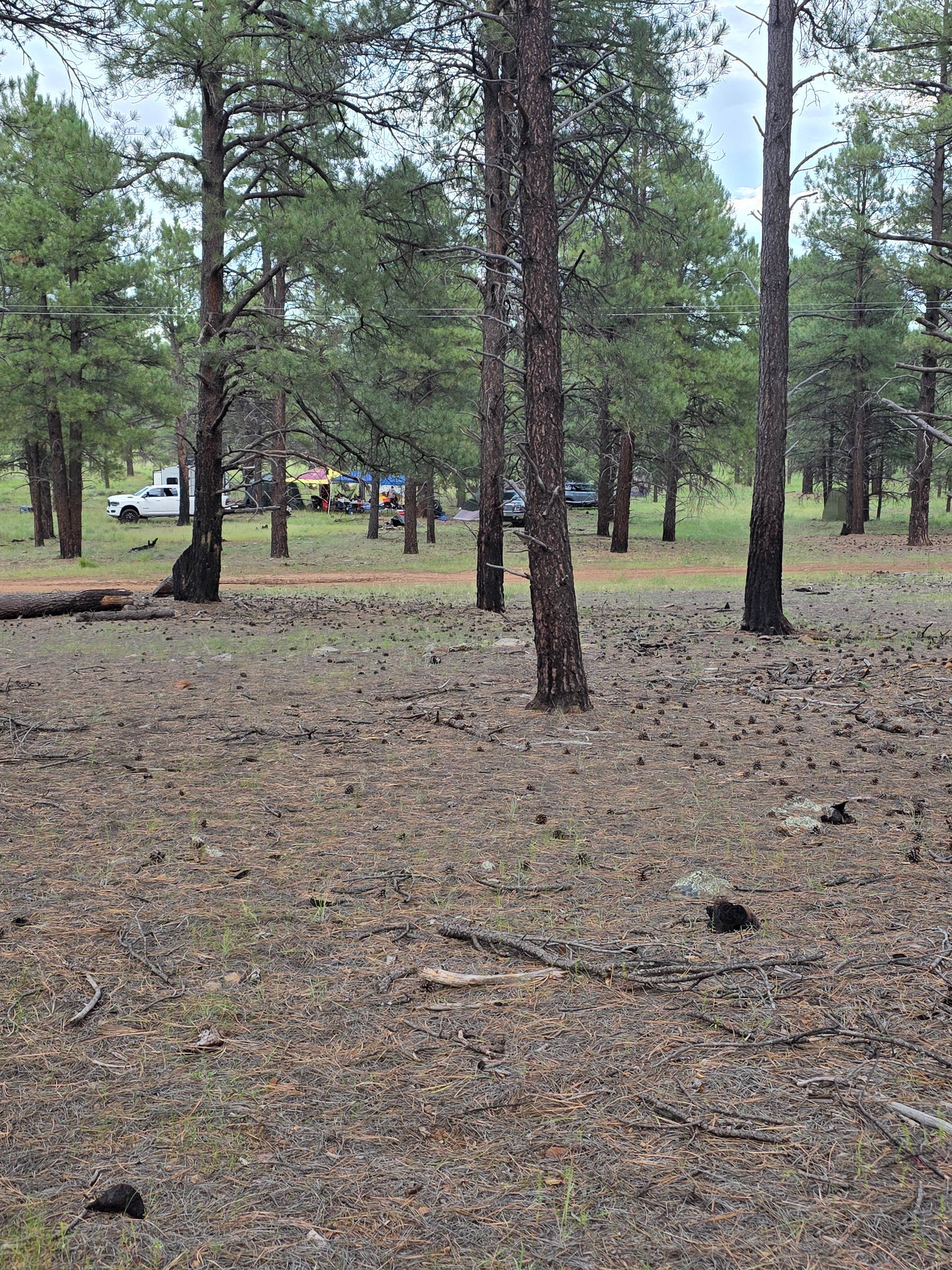 Camper-submitted photo at Dispersed Campground Near Williams AZ near Williams, AZ