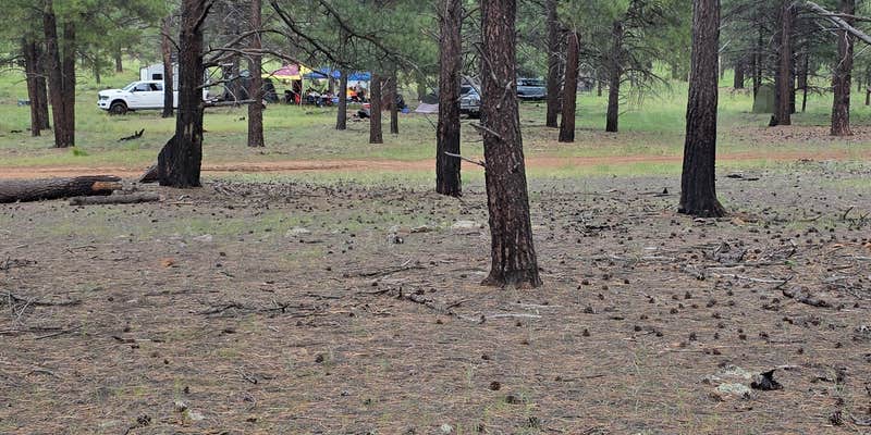 Camper submitted image from Dispersed Campground Near Williams AZ