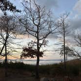 Review photo of Old NC 105 - Dispersed Camping by Sam C., November 22, 2025