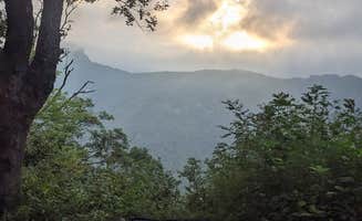 Joseph F.'s photo of a dispersed camping area at Old NC 105 - Dispersed Camping in North Carolina