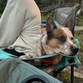 Review photo of Old NC 105 - Dispersed Camping by Kyle C., September 1, 2025