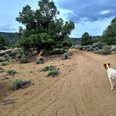 Review photo of Dispersed on 120 near Benton by Matthew B., March 31, 2026