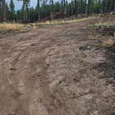 Review photo of Dispersed on 4 - Fenton Lake State Park by johny R., April 14, 2026